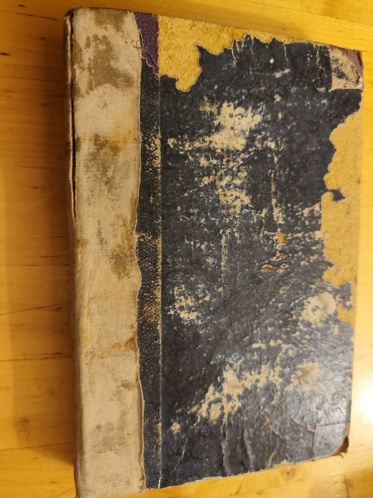 Corso elementare di Geografia e statistica - Luigi Ungarelli, Bologna 1874