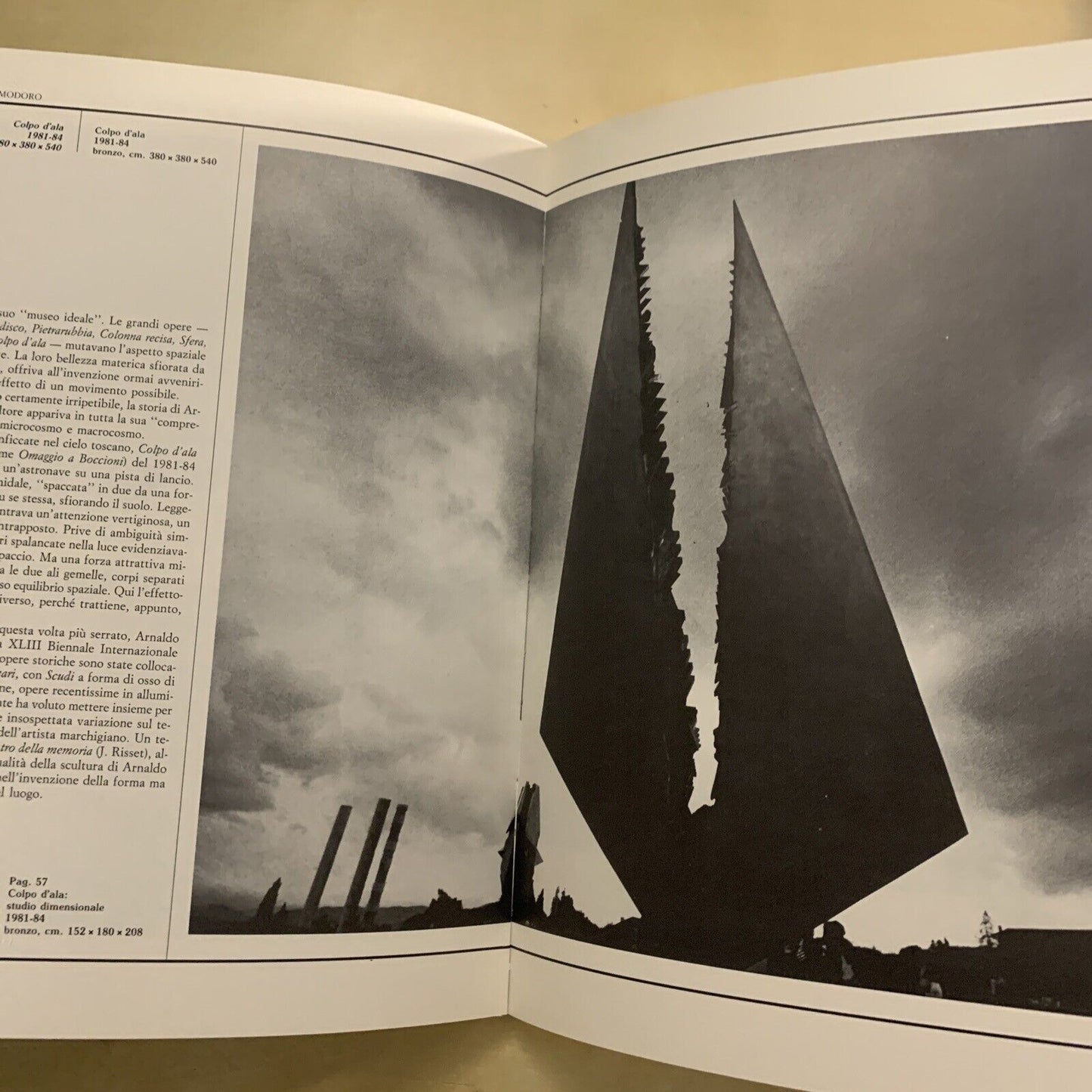 ARNALDO POMODORO - COLPO D'ALA 1988