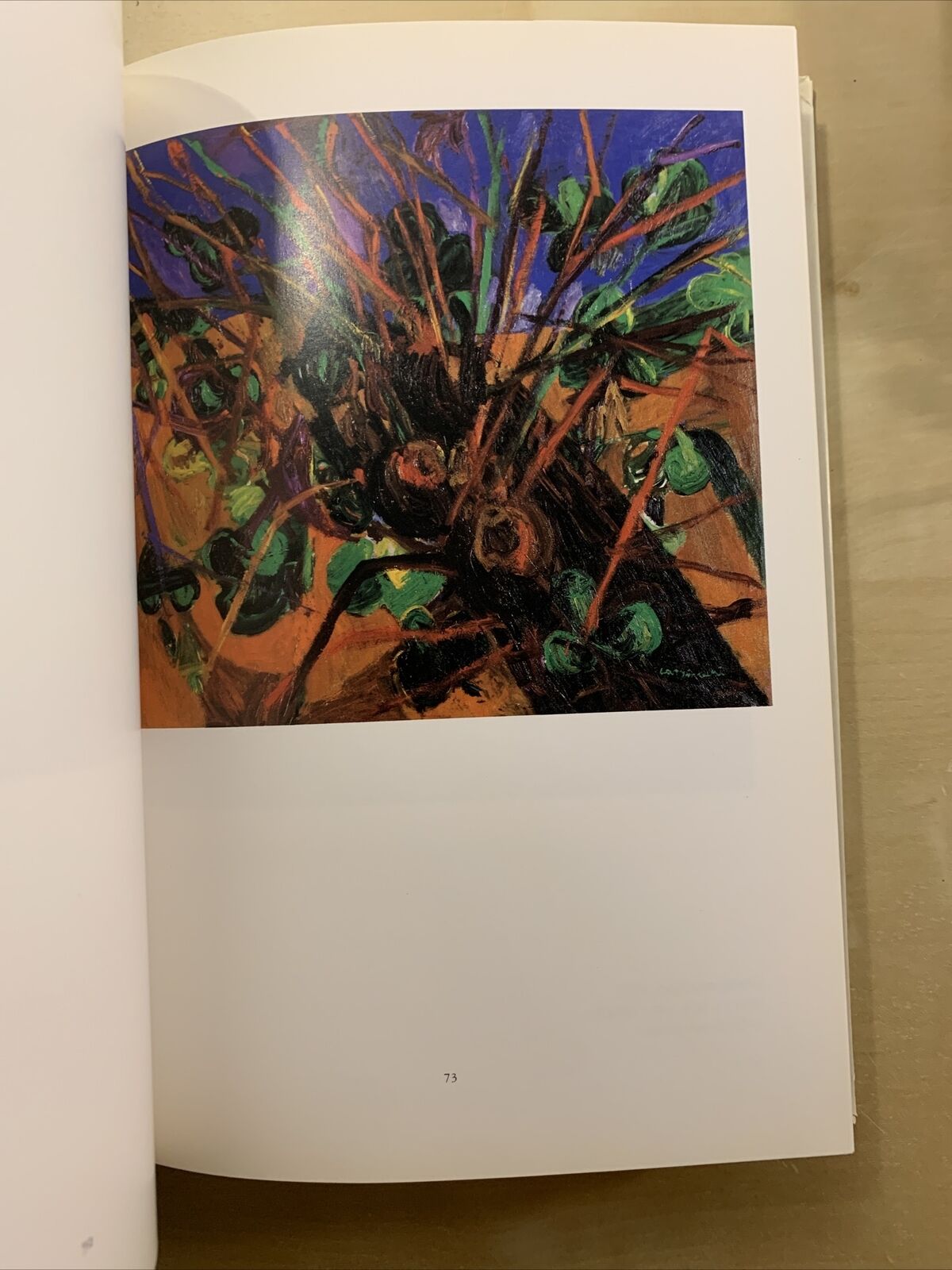 CASSINARI BRUNO - OPERE SCELTE, Gian Alberto Dell'Acqua - Galleria Braga 1995