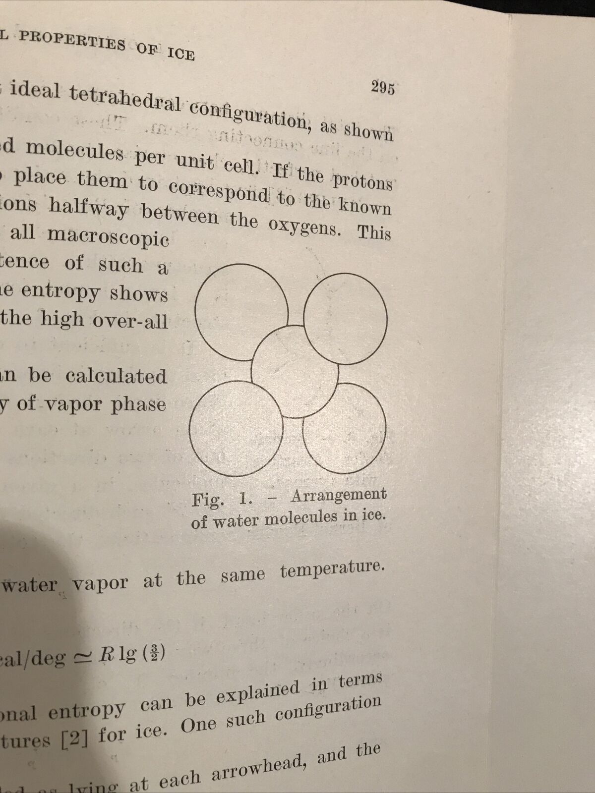 FISICA-TERMODINAMICA rendiconti scuola internazionale di fisica Enrico Fermi 