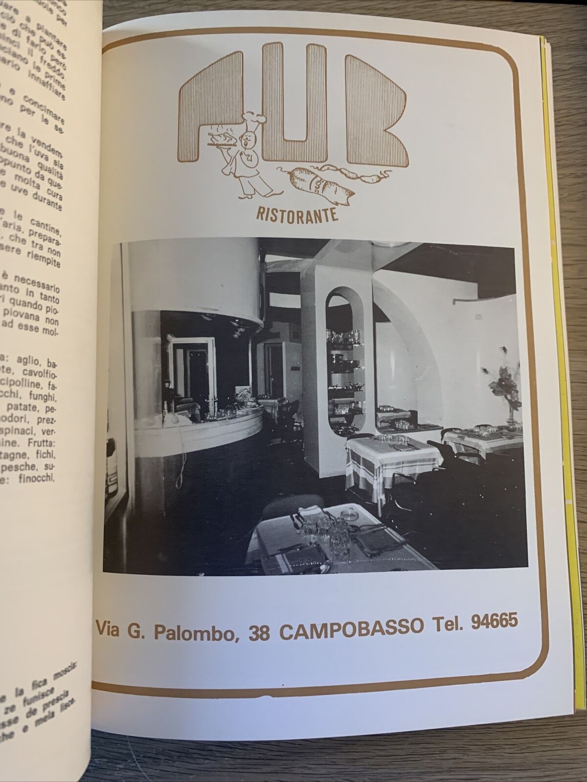 Almanacco del Molise 1978. Enzo nocera editore