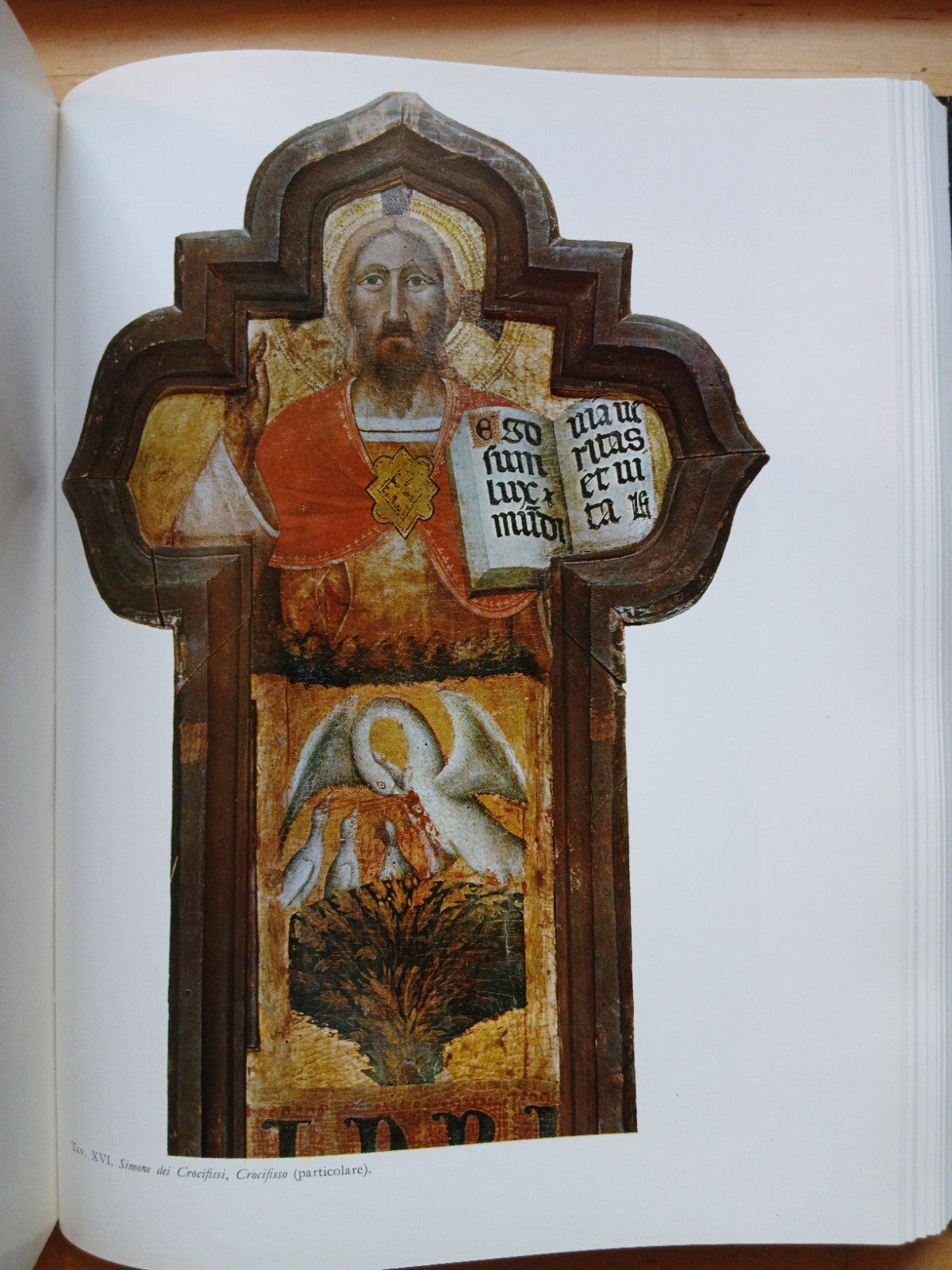 Il Tempio di San Giacomo Maggiore in Bologna studi sulla storia e le opere d'art