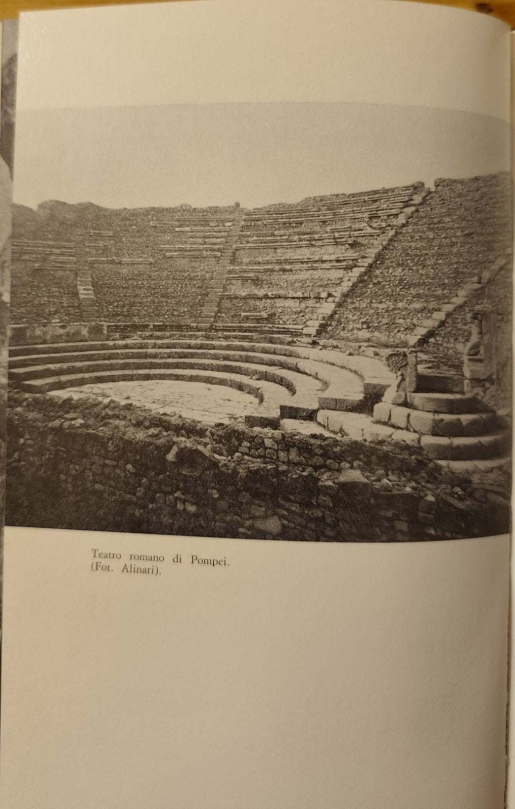 Teatro Universale dalle origini a Shakespeare, Achille Fiocco, Cappelli ed. 1970