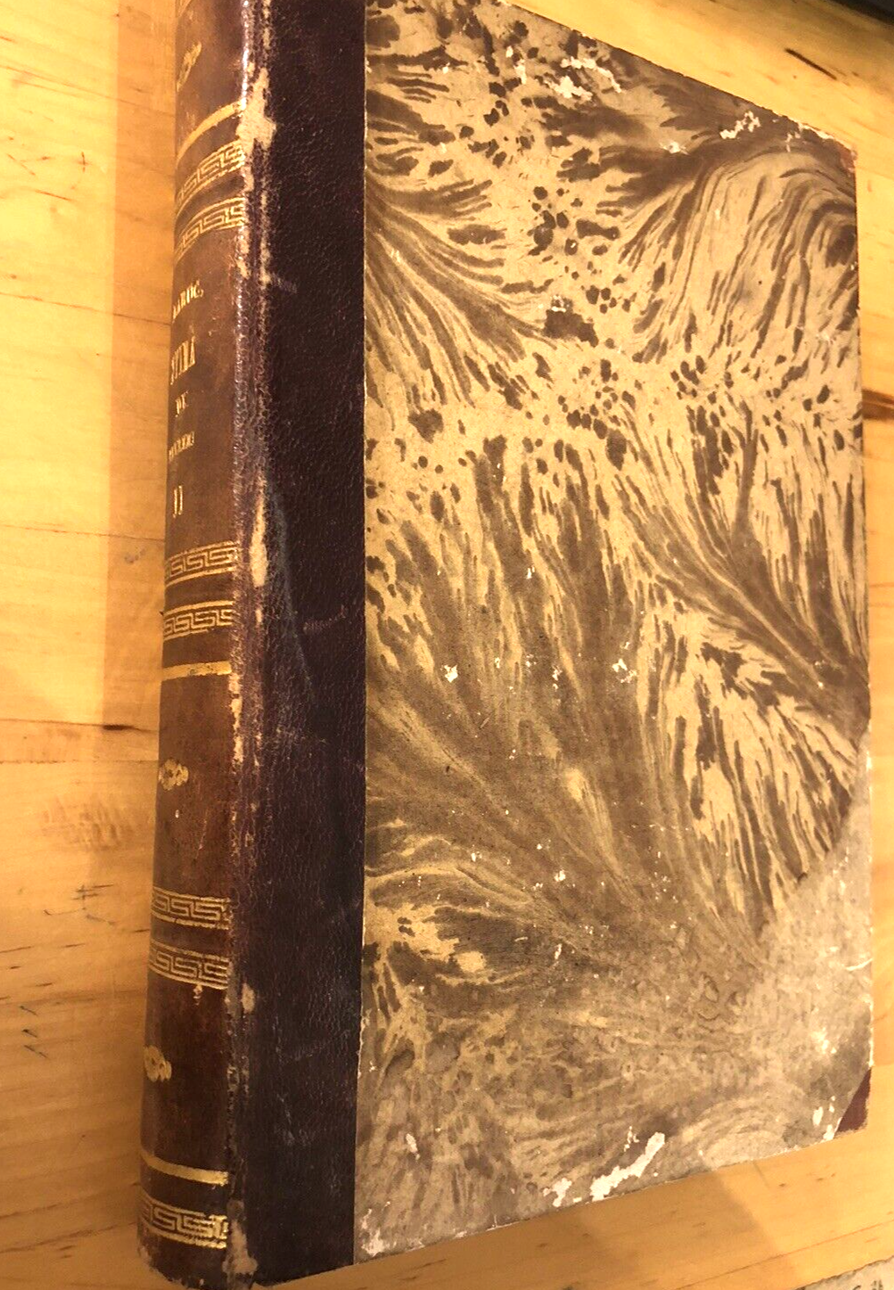 Manuale Pratico per la misura e stima dei terreni, A. Marucchi. tomo 2  - 1857
