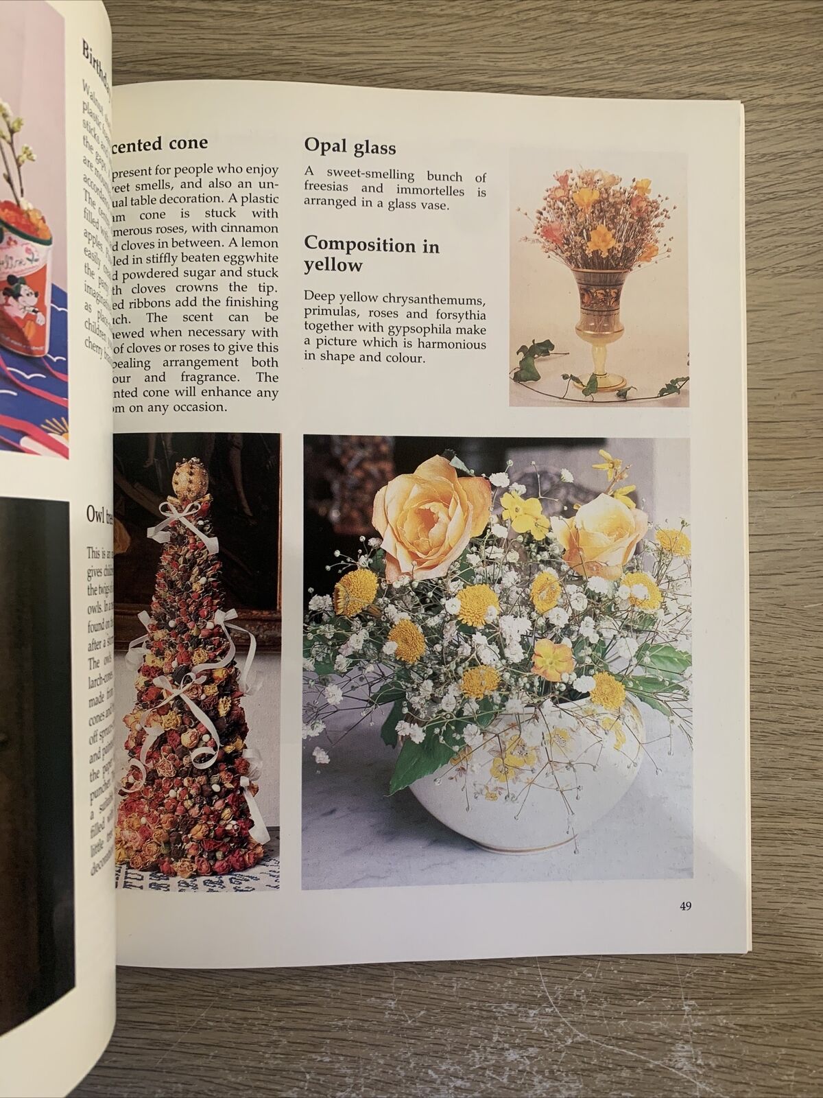 Fiori secchi decorazioni idee, lingua inglese. Dried Flowers Ideas. Hamlyn