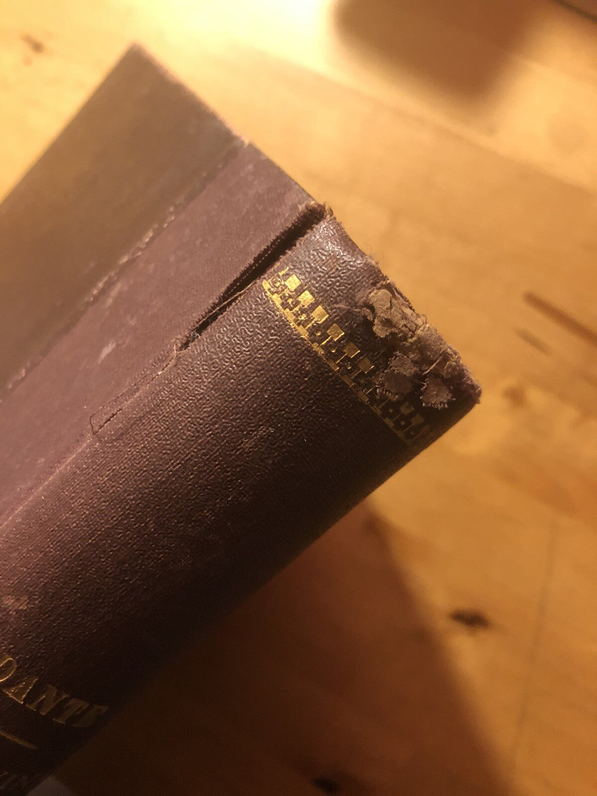 La divina commedia illustrata da Gustavo Doré - Sonzogno, Eugenio Camerini