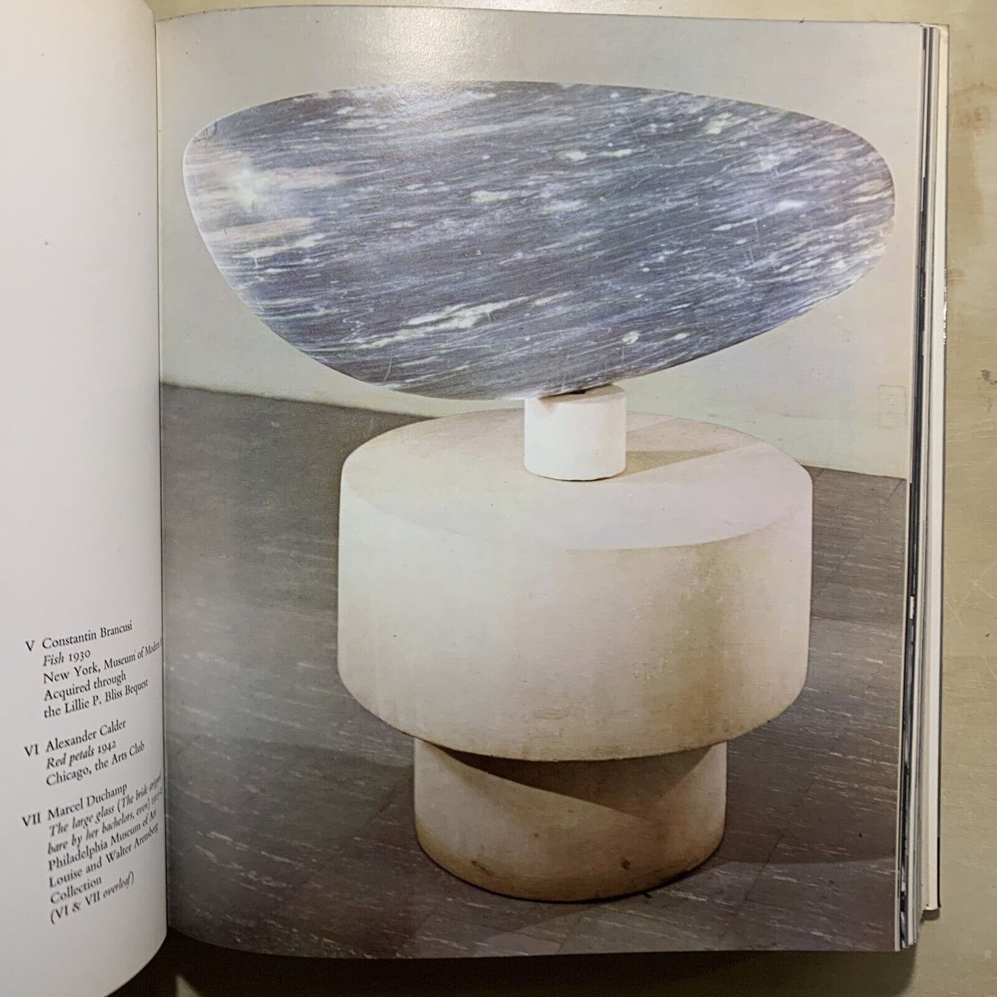 SCULPTURE 19TH & 20TH CENTURIES - FRED LICHT. MICHAEL JOSEPH LONDON 1967 #