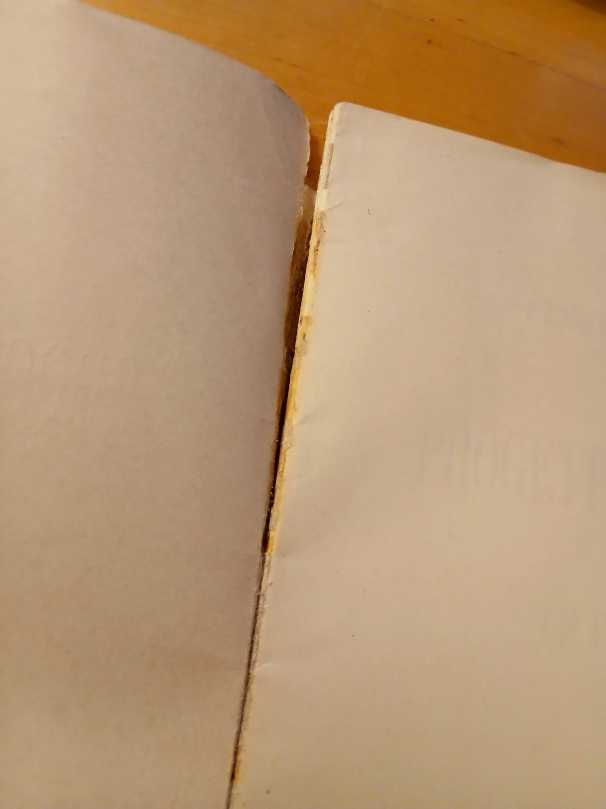 Comune di Bologna progetto di acquedotto per la città forese  1914 F.lli Merlani