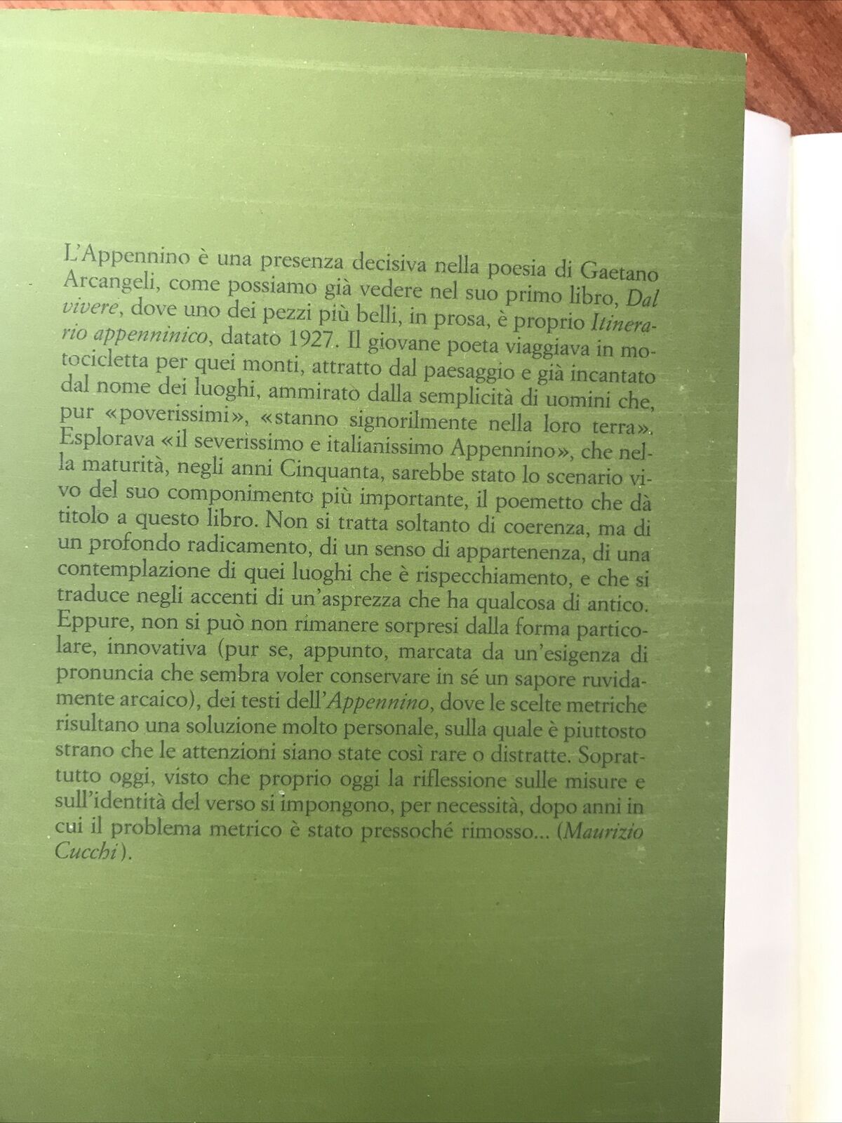 ARCANGELI, L'Appennino , libri Scheiwiller 1997.  POESIA