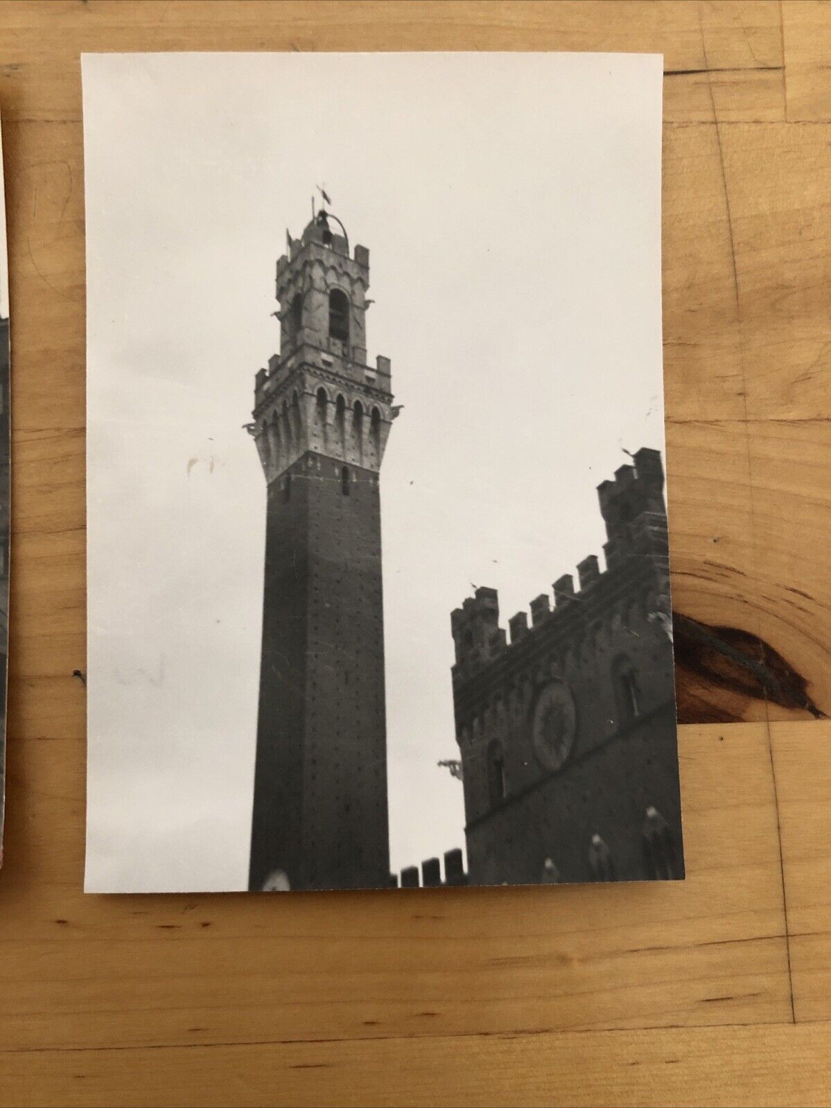 Fotografie SIENA 1959 originale - 2 Foto , 7x10 cm