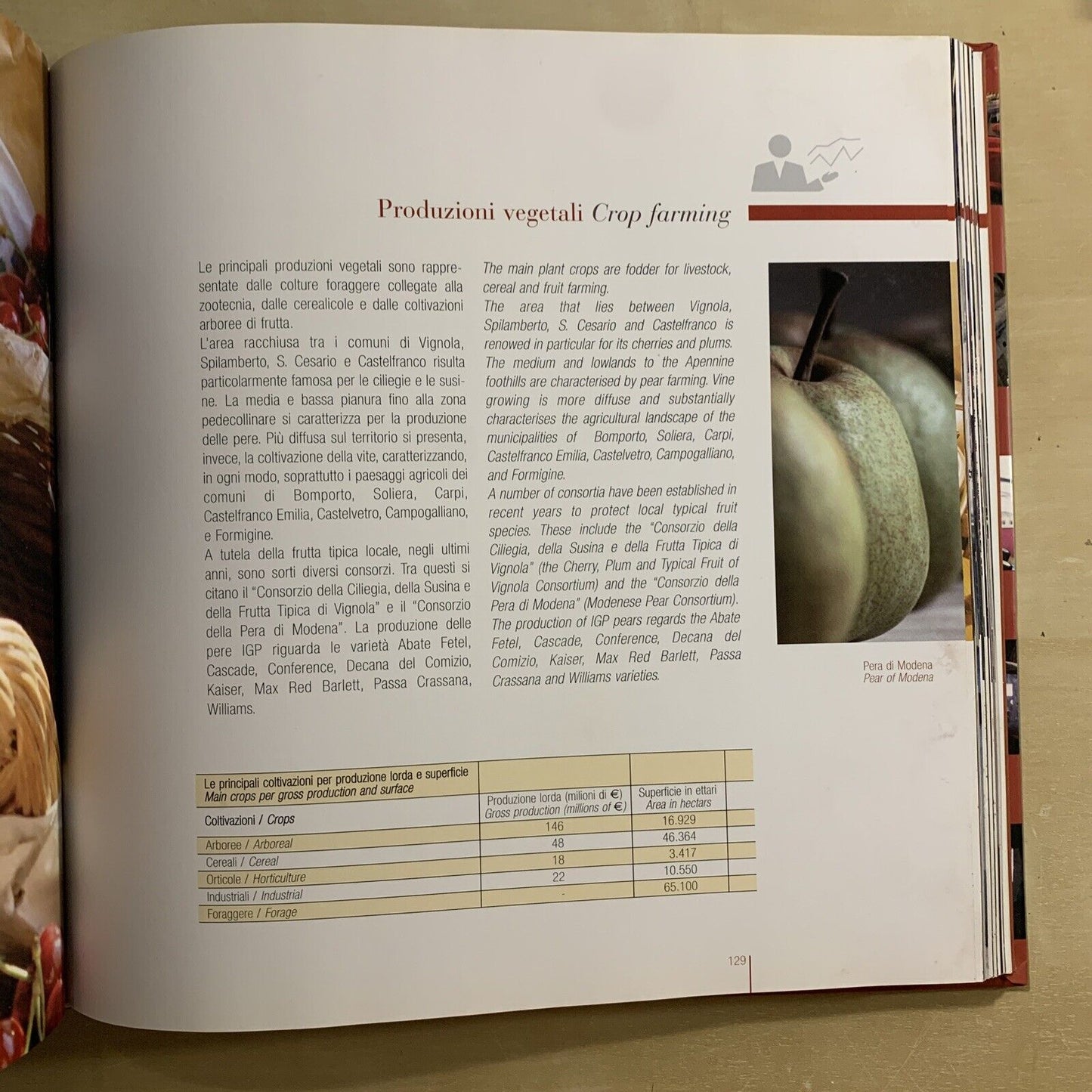 MODENA, Economia Cultura Economy Culture 2008 #