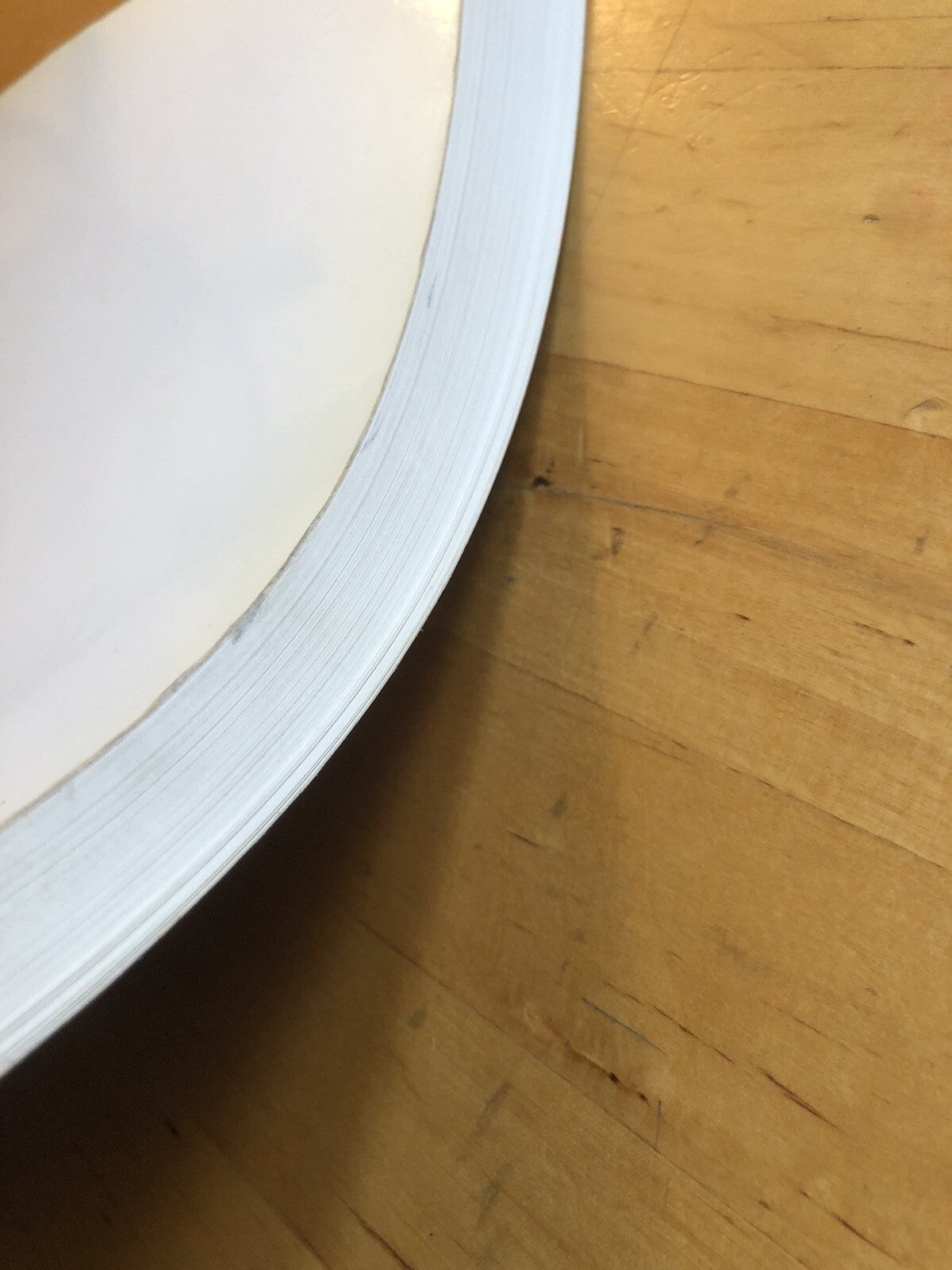 Presepi e terrecotte nei musei civici di Bologna, Nuova Alfa editoriale 1991