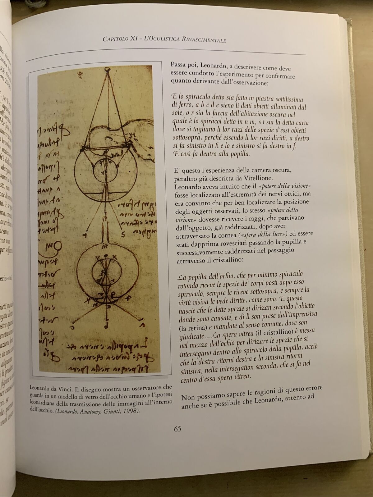 STORIA DELL'OCULISTICA VOLUME TERZO - NICOLA DELLE NOCI. EDITORE SIFI 2002
