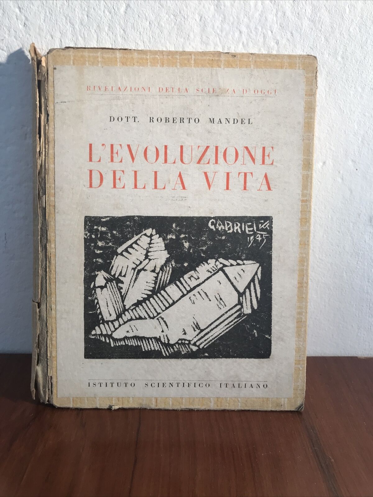 L'evoluzione della vita R. Mandel istituto scientifico italiano TEORIA EVOLUTIVA