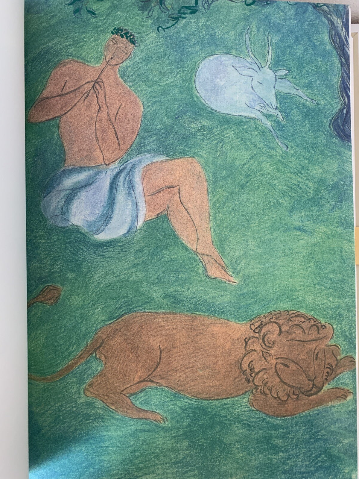 Cantico dei cantici, EDIZIONE PREGIATA Pierre Boncompain. Art'e', G. Ravasi 2002