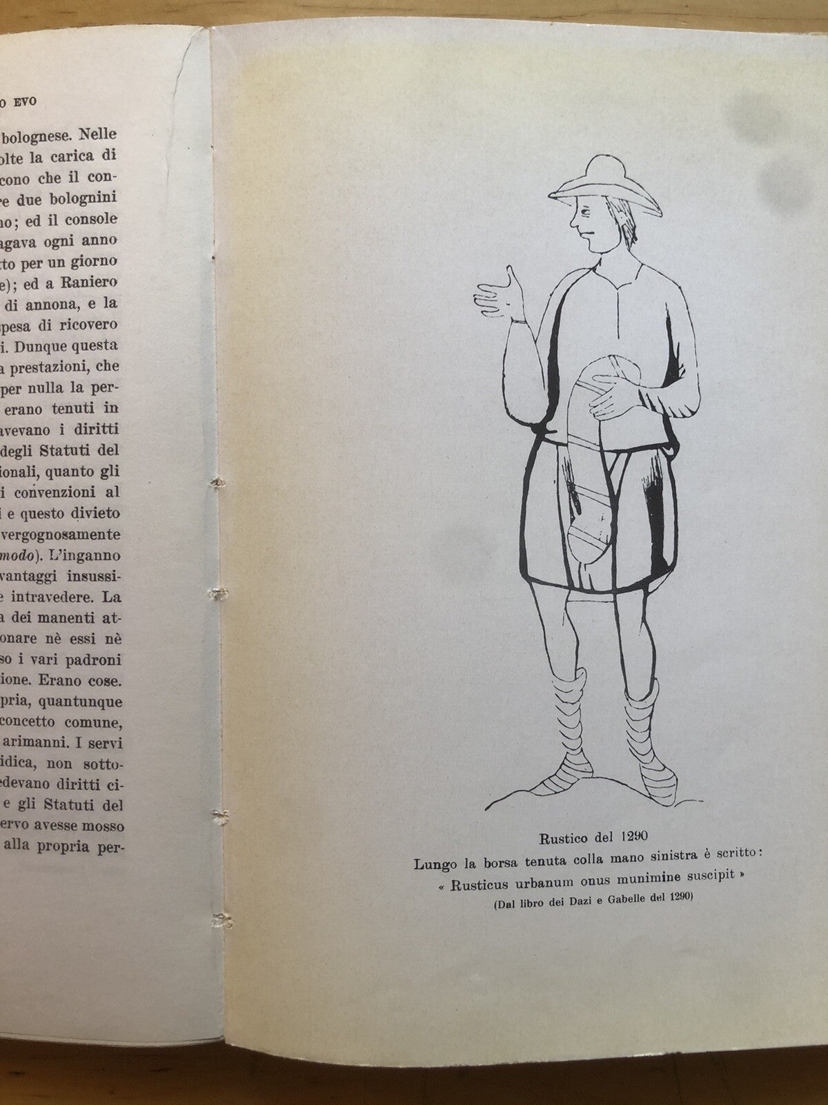 La montagna bolognese del medio evo, Arturo Palmieri. Forni editore rist. 1972