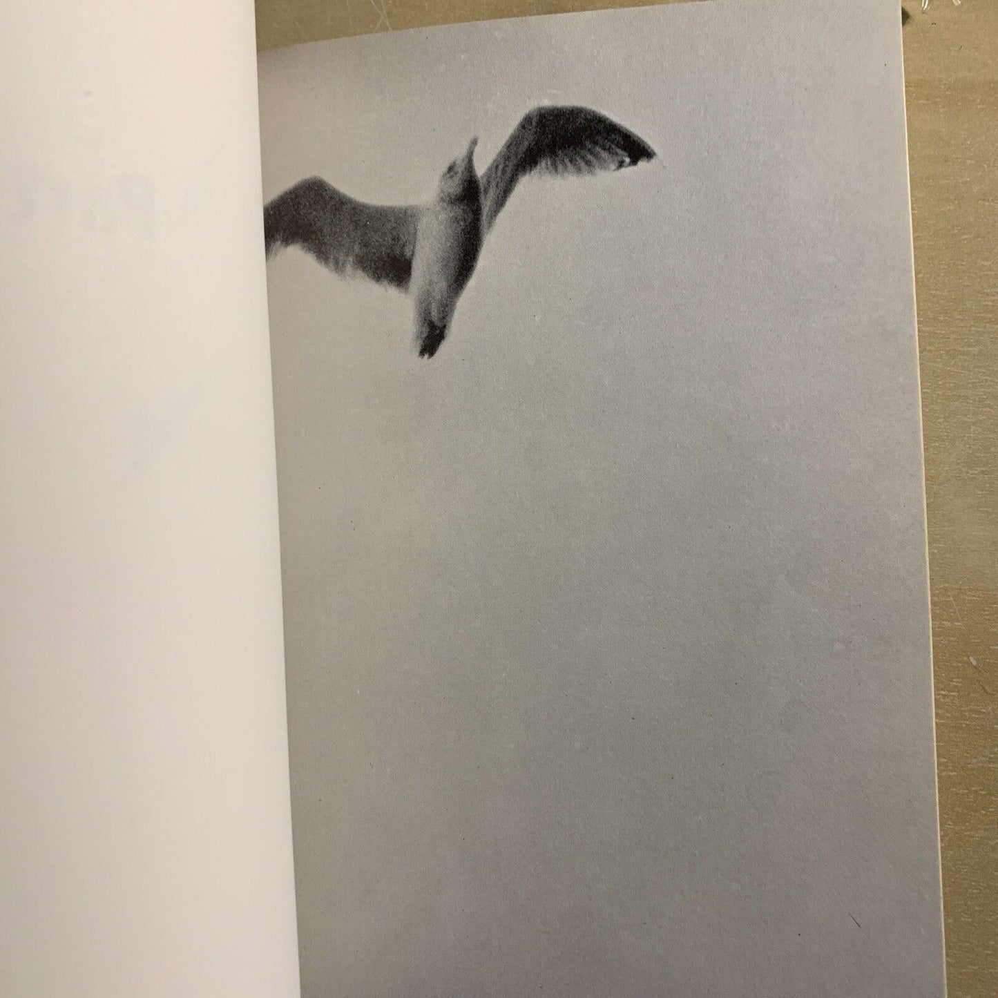 JONATHAN LIVINGSTONE SEAGULL a story. Richard bach. Pan books 1972 #