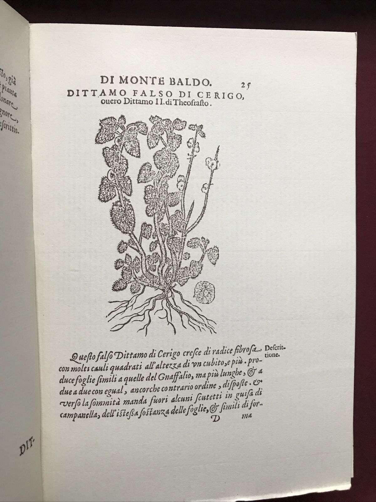 MONTE BALDO, Giovanni Pona. Botanica-Piante rare, facsimile 1972 dell'ed. 1617