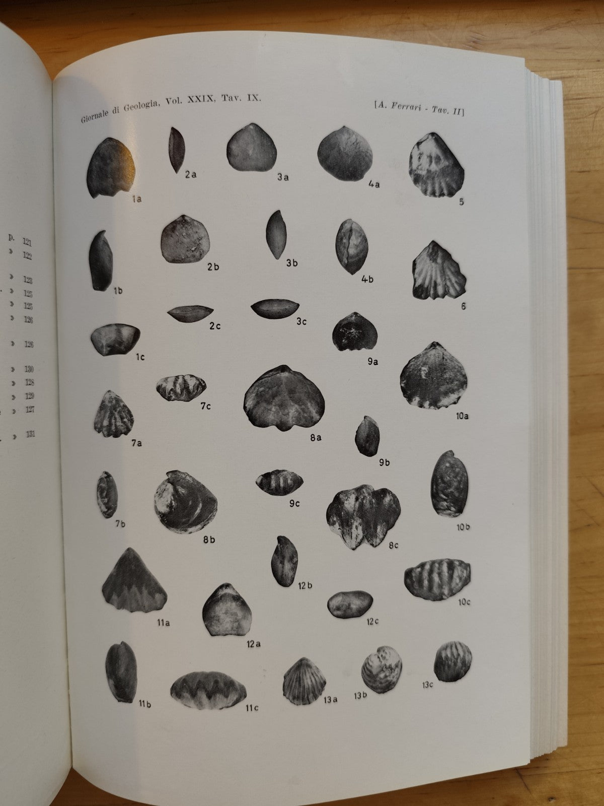 Giornale di geologia, museo geologico Bologna - Raimondo Selli, serie 2ª XXIX