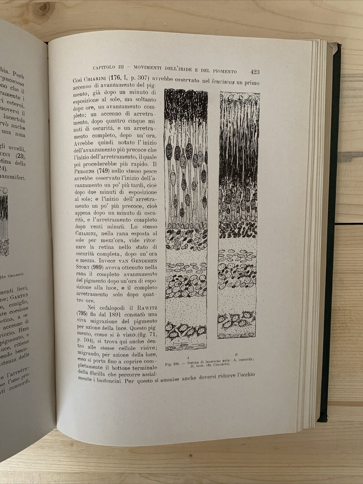 ANATOMIA E FISIOLOGIA DELL'OCCHIO NELLA SERIE ANIMALE - Giuseppe Ovio 1925 #