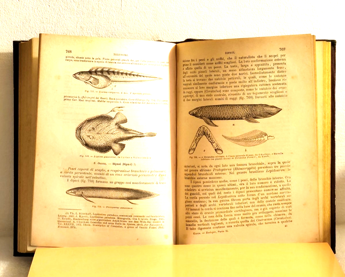 Manuale di Zoologia parte seconda, C. Claus, Cattaneo. Vallardi - antico '800