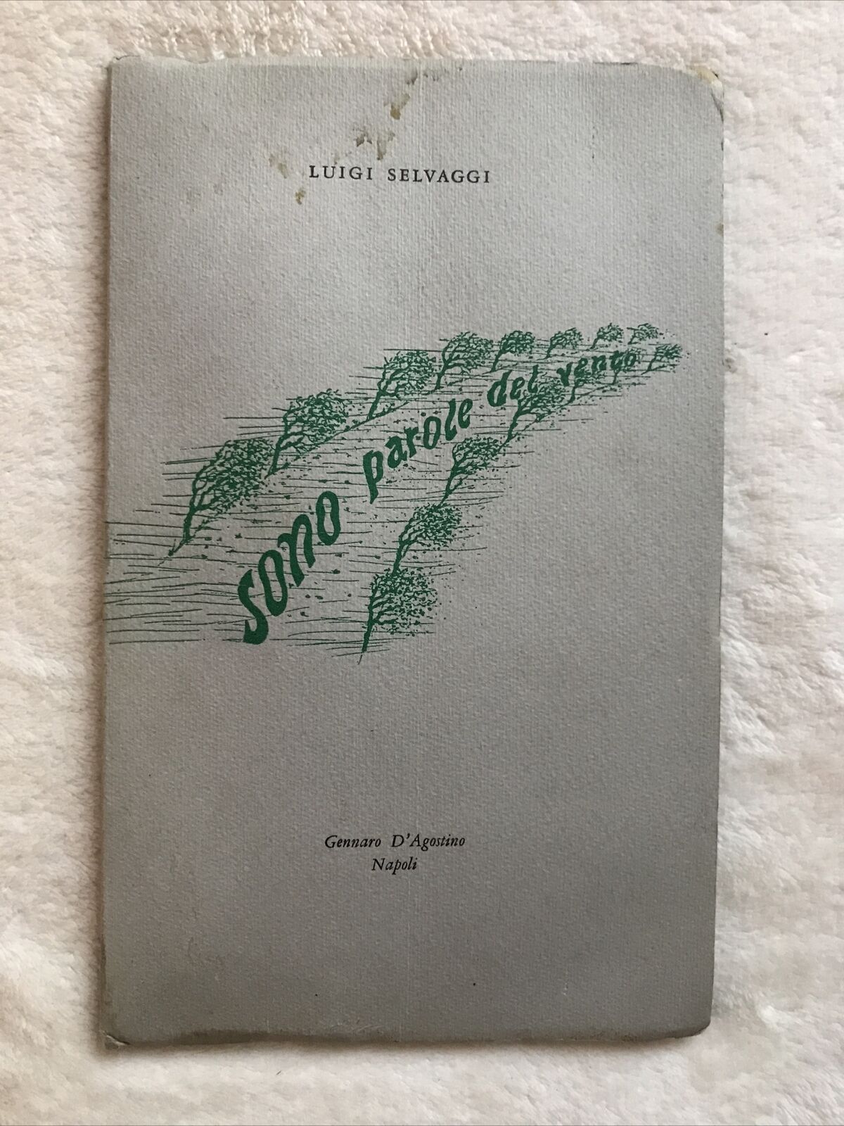 Selvaggi Luigi - Sono parole del vento, Gennaro D'Agostino Napoli.