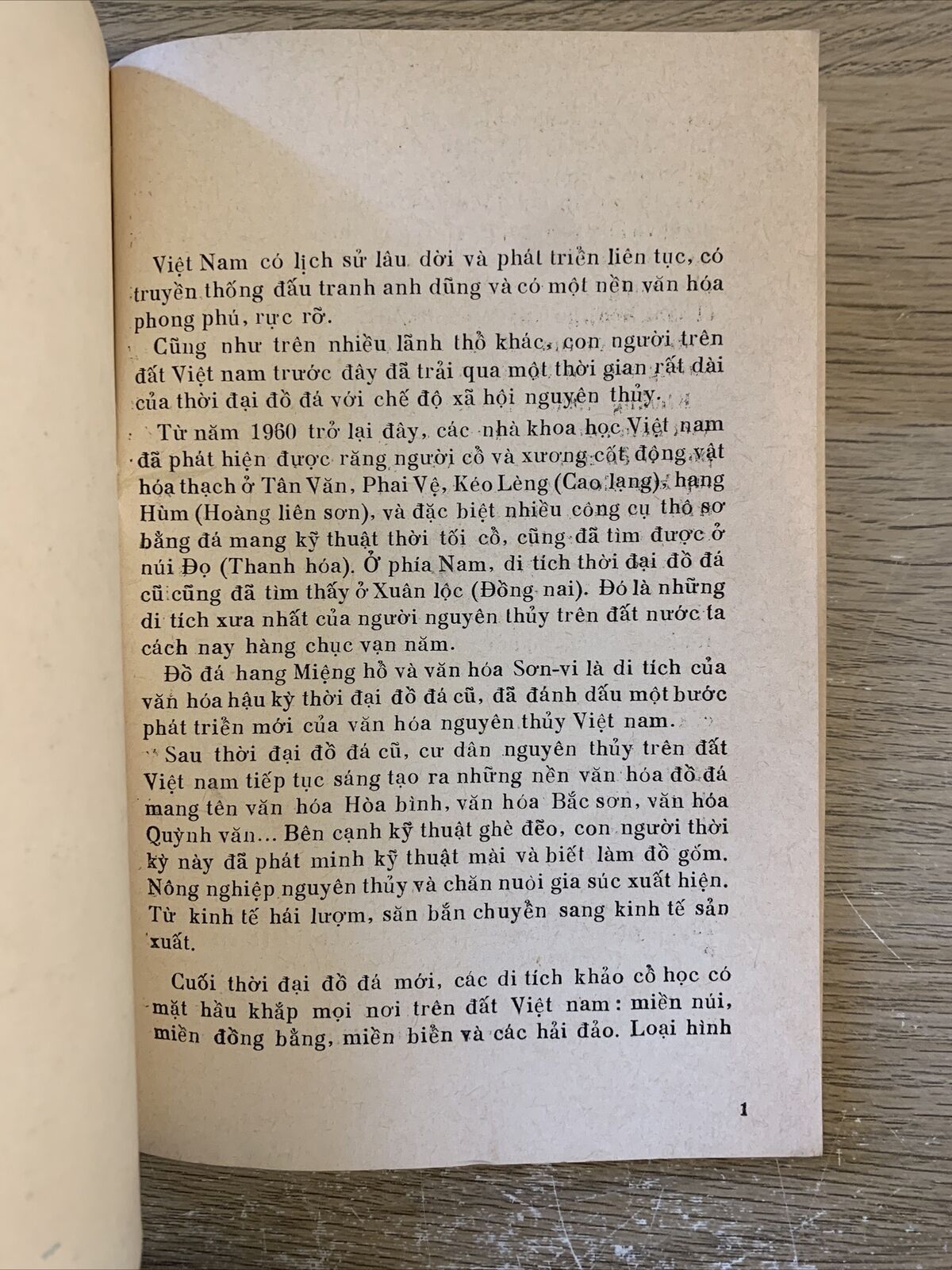 Viên Bao Tàng Lich Su'. Viet Nam.