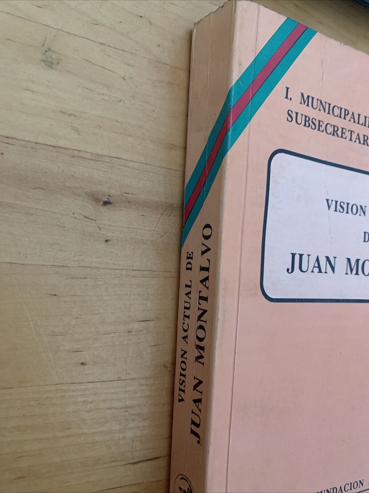 VISION ACTUAL DE JUAN MONTALVO, MUNICIPALIDAD DE AMBATO SUBSECRETARIA DE CULTURA