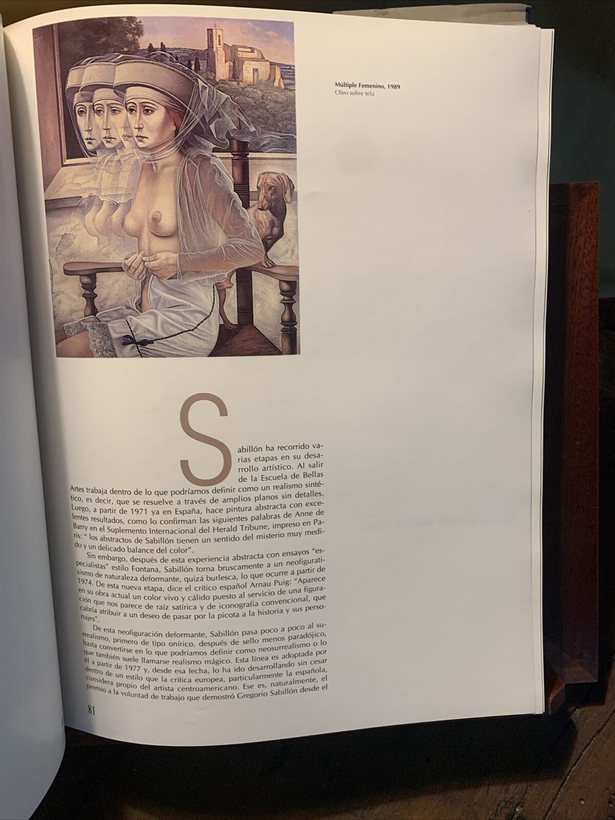 MAGIC AND REALISM, Central American Contemporary Art, Juan Carlos Flores Zuñiga