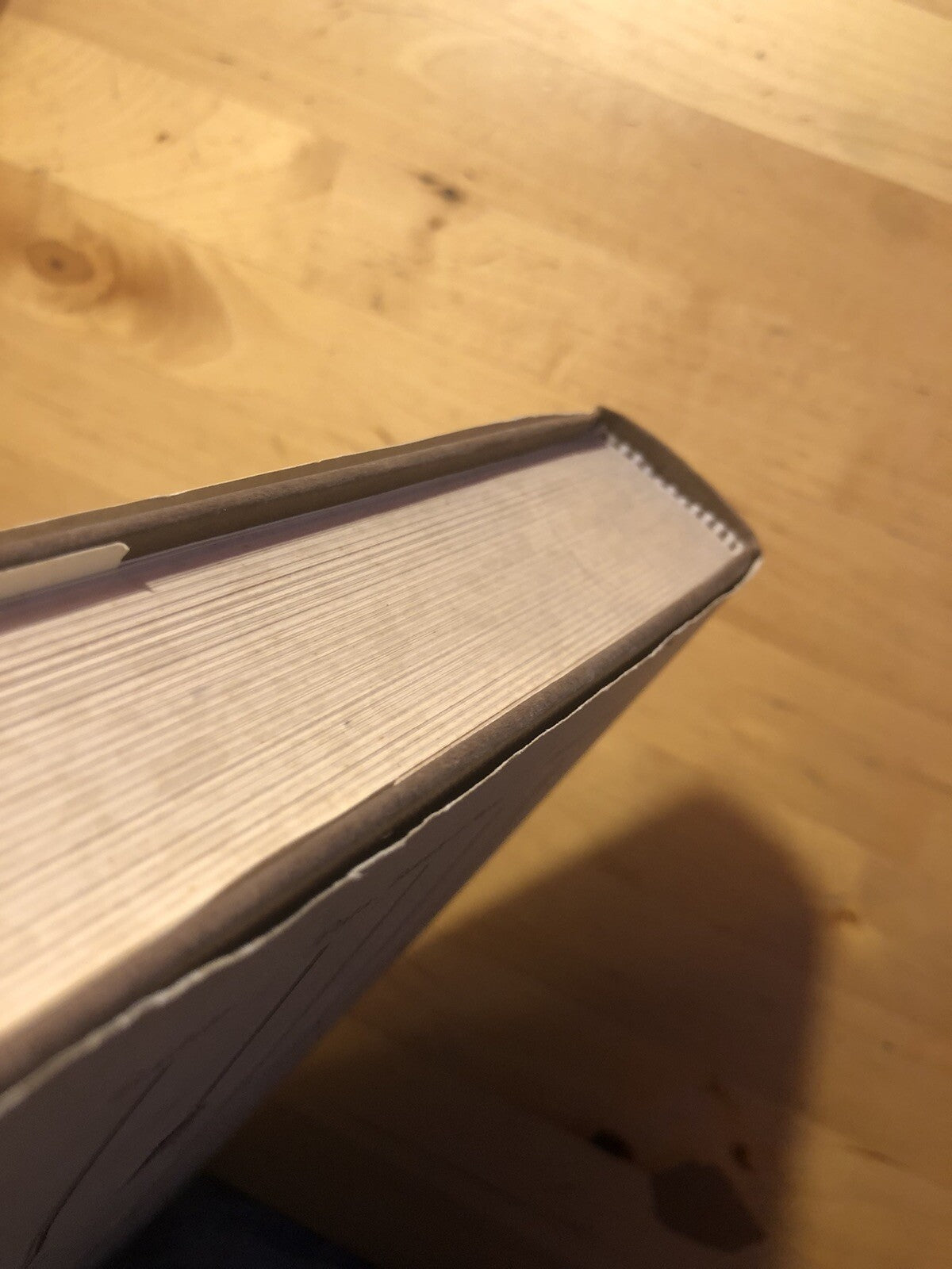 Il pane quotidiano del contadino Bolognese, Gino Calari, illustrato da U. Sgarzi